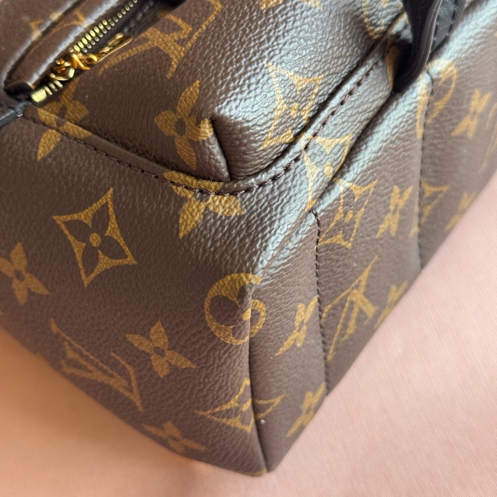 Louis Vuitton Palm Springs Mini - Picture 2 of 13